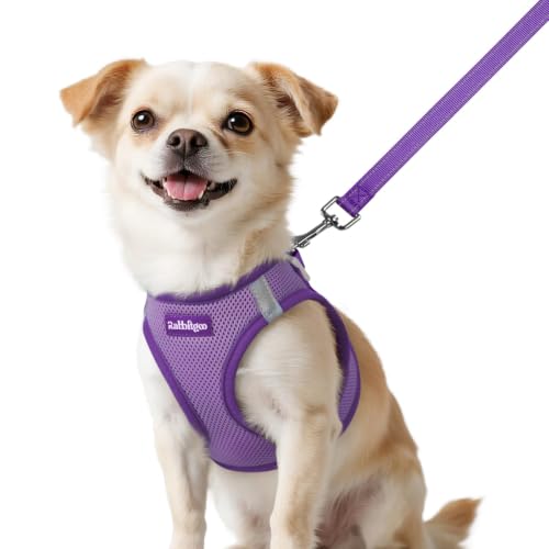 Dog Harness Small Sized and Leash Set (Light Purple & Purple / XXS (Chest: 12.4"-14.2"))