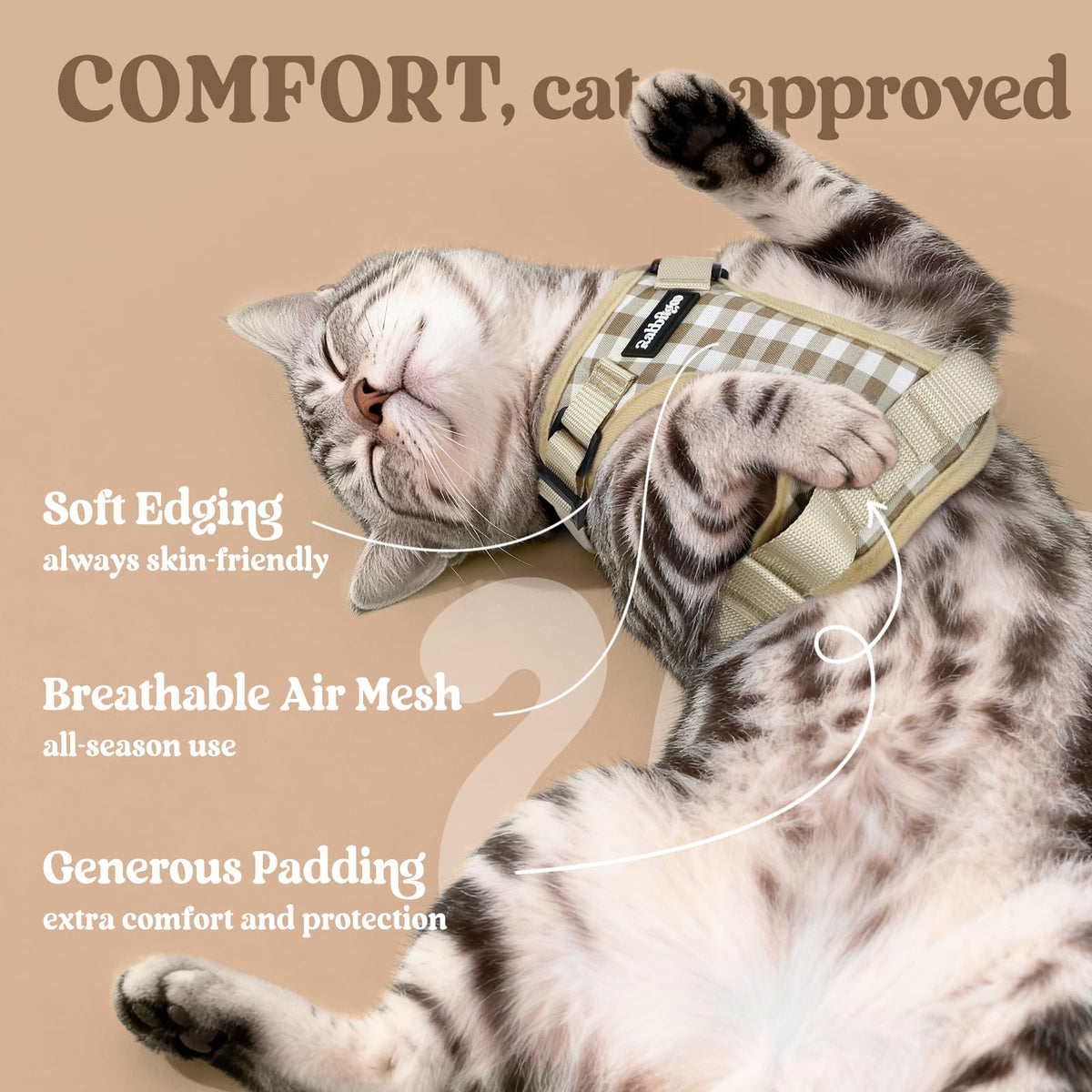 Cat Harness and Leash Set (Xs / Foamy Coffee)