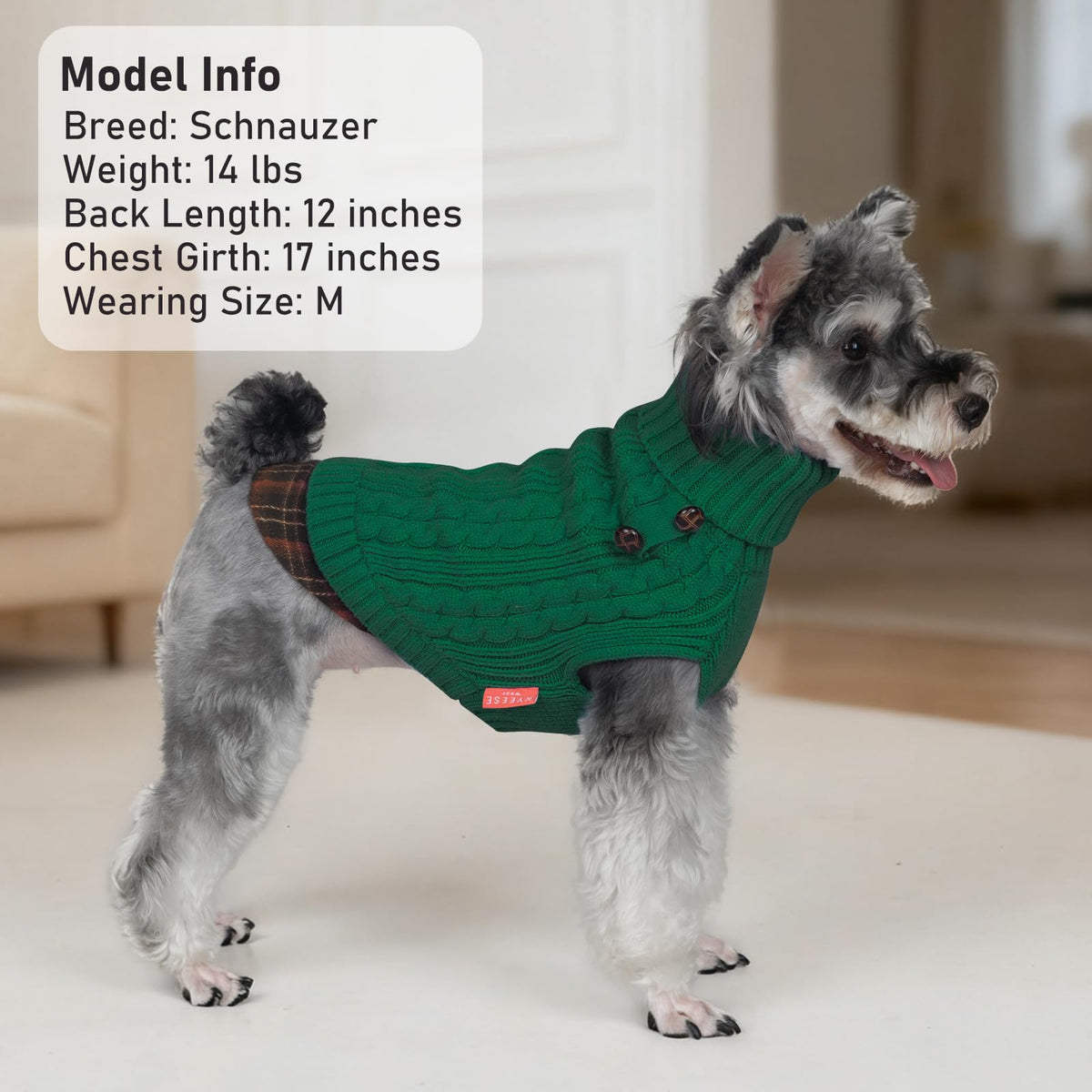 Dog Sweater for Small Dogs Turtleneck Thick Knit Pullover (Large (13-19lbs) / 10# Green)