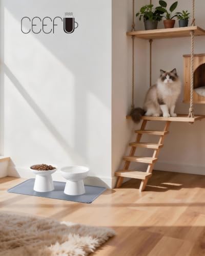 2 Pack Elevated Ceramic Cat Bowls Extra Wide for Food & Water + Food Mat White+Mat (White+Mat)