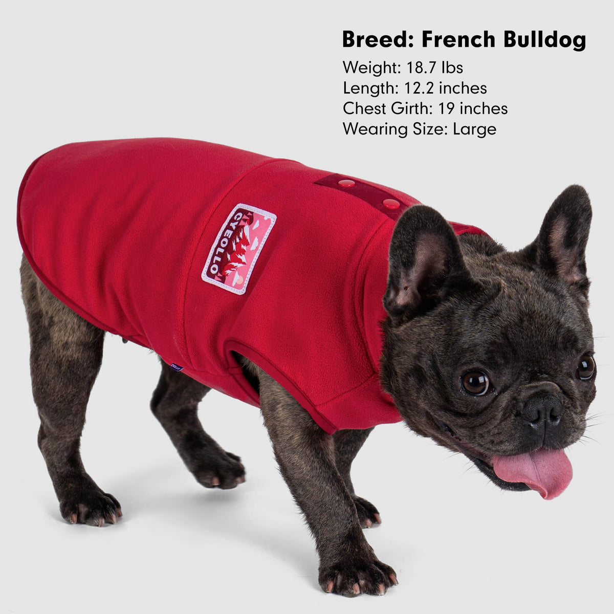 Fleece Dog Sweater (Red / Small)