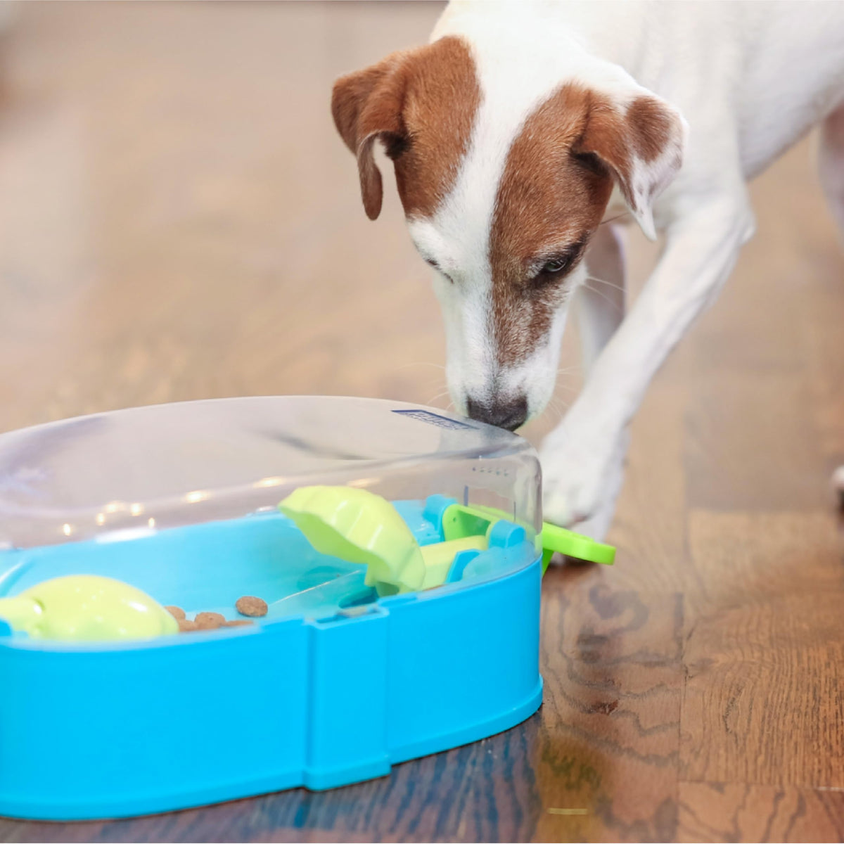 Nina Ottosson Paw N' Play Dog Toy Treat Puzzle
