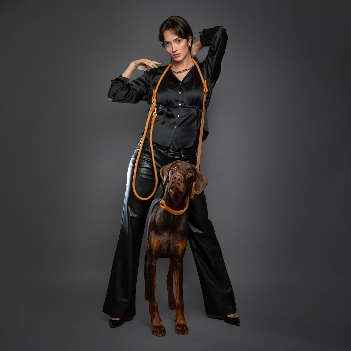Hands Free Dog Leash (Camel)