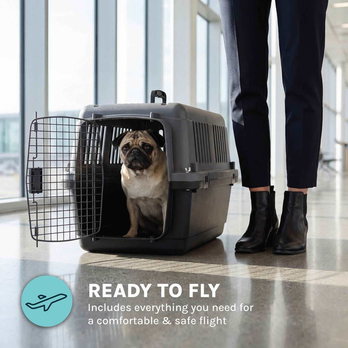 SportPet Airline Compliant Small 24" Travel Dog Kennel (Dark Gray)