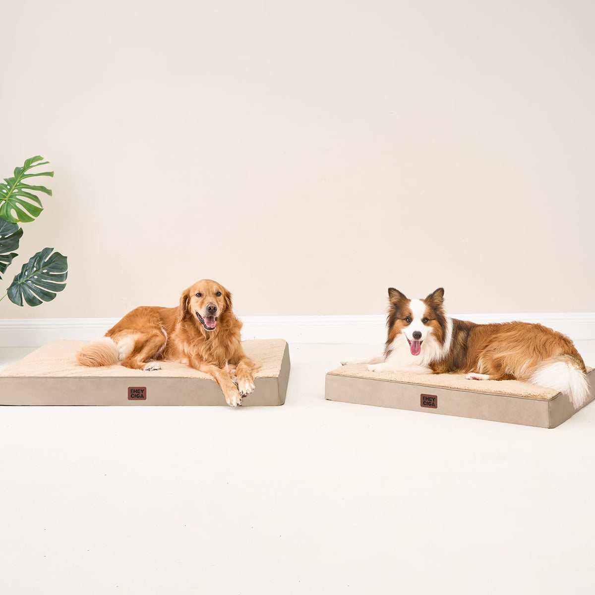 Orthopedic Dog Bed Large with Removable Washable Cover (47*29*3.5 inches / khaki)
