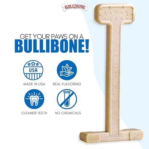 Nylon Dog Chew Toy for Aggressive Chewers (Small - 3 Pack)