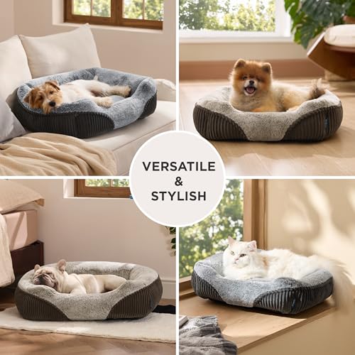 Washable Dog Bed Small Dog＆Cat Rectangle Kitten Puppy Bed (Grey / 20"L x 19"W x 6"Th)