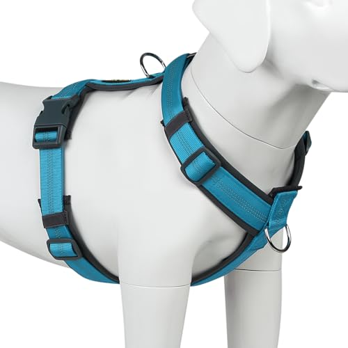 No Pull Dog Harness (M / Cyan)