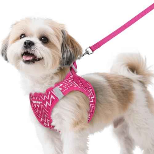 Dog Harness Small Sized and Leash Set (Rose Red Wave / S (Chest: 15.1"-16.5"))