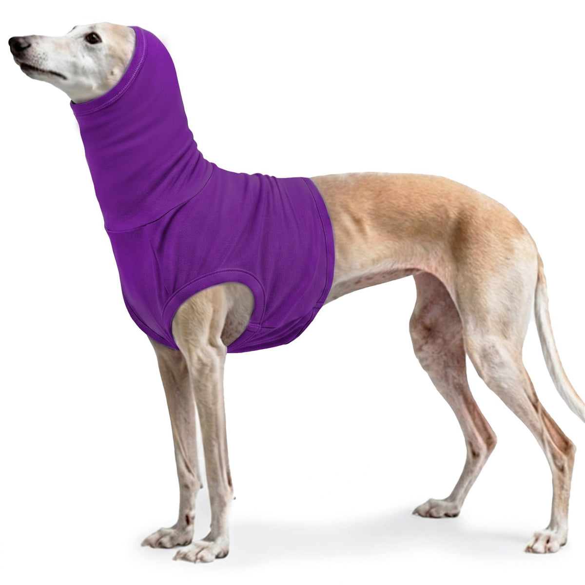 Dog Neck Bandage (DarkPurple / L(Chest: 24"))