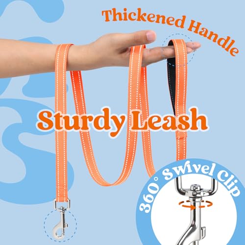 Dog Harness Small Sized and Leash Set (Blue & Orange / XXS (Chest: 12.4"-14.2"))