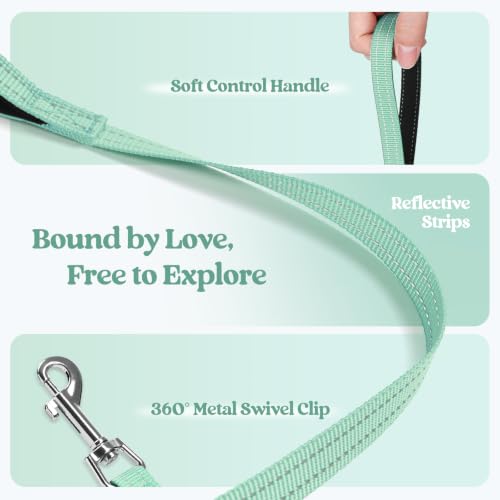 Dog Harness Medium Sized and Leash Set (Moss Green / L (chest: 18.2 - 20.5"))