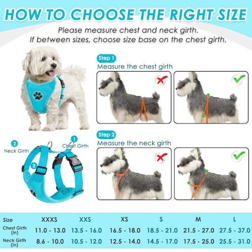 Dog Seat Belt and Harness for Car (Light Blue / XX-Small)