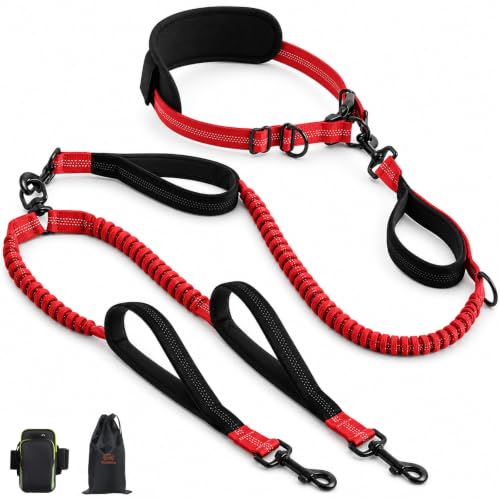 Hands Free Double Dog Leash