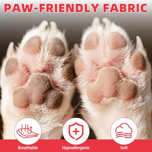 Dog Socks for Hot
