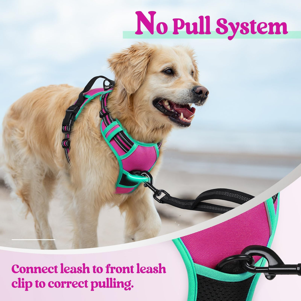 Dog Harness No Pull for Large Dogs with 2 Leash Clips (X-Large / Hot Pink & Turquoise)