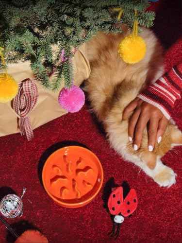 Ceramic Slow Feeder Dog Bowls Small Breed (Orange / S-0.5 Cups)