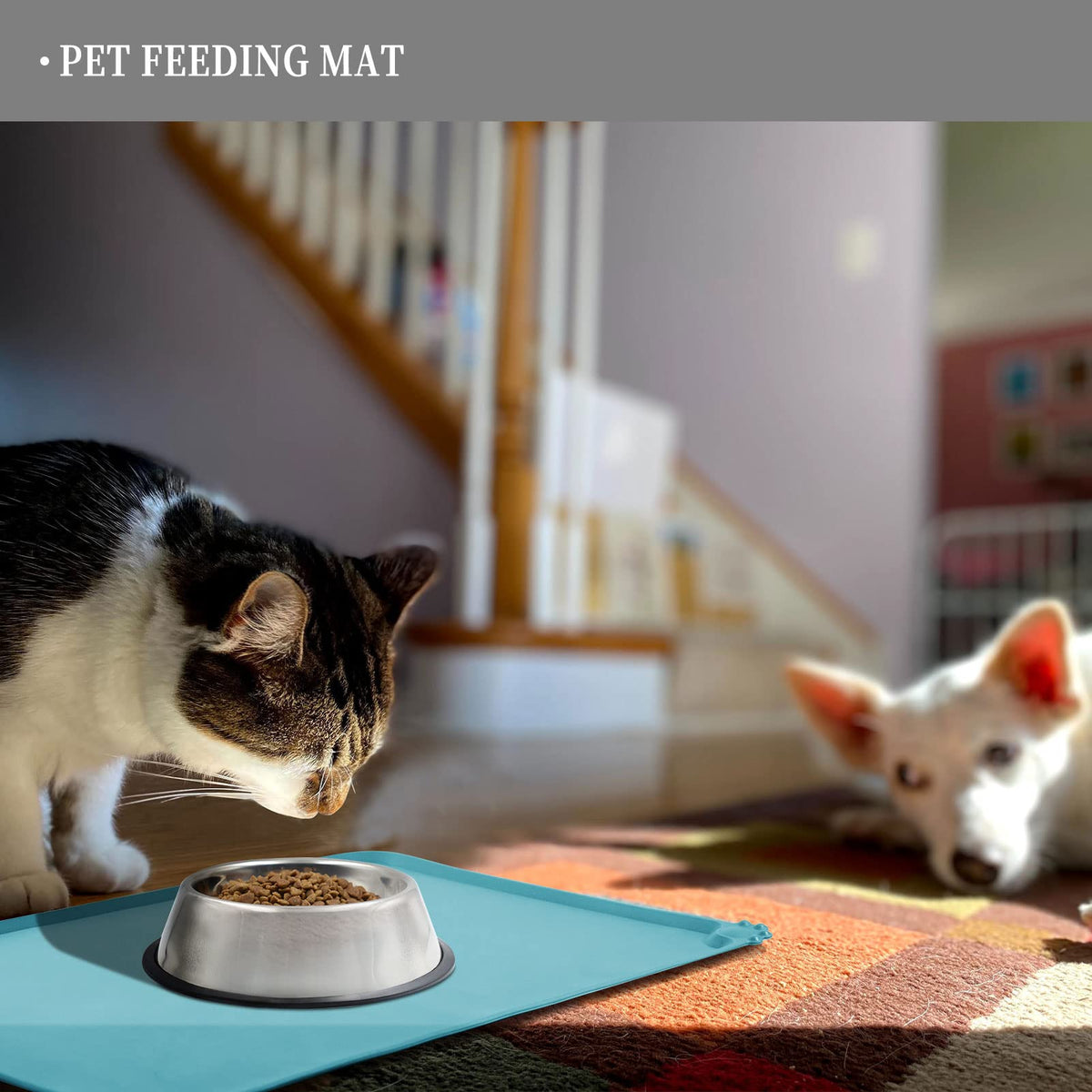 Silicone Pet Feeding Mat (Turquoise / 22" x 14")