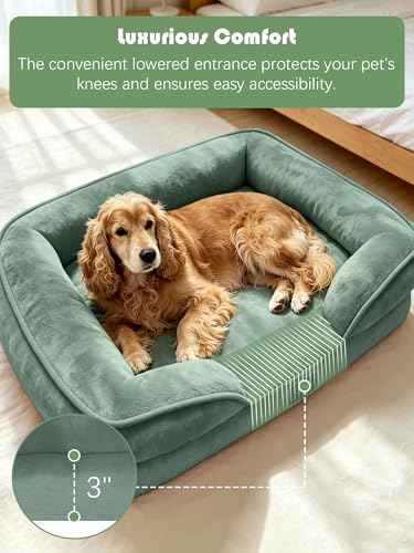 Orthopedic Dog Bed with Sides (35.0"L x 25.0"W x 6.5"Th / Green)