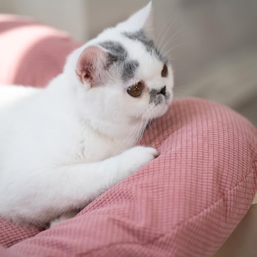 Elevated Cat Bed for Indoor Cats Couch Sofa Flower (Pink)