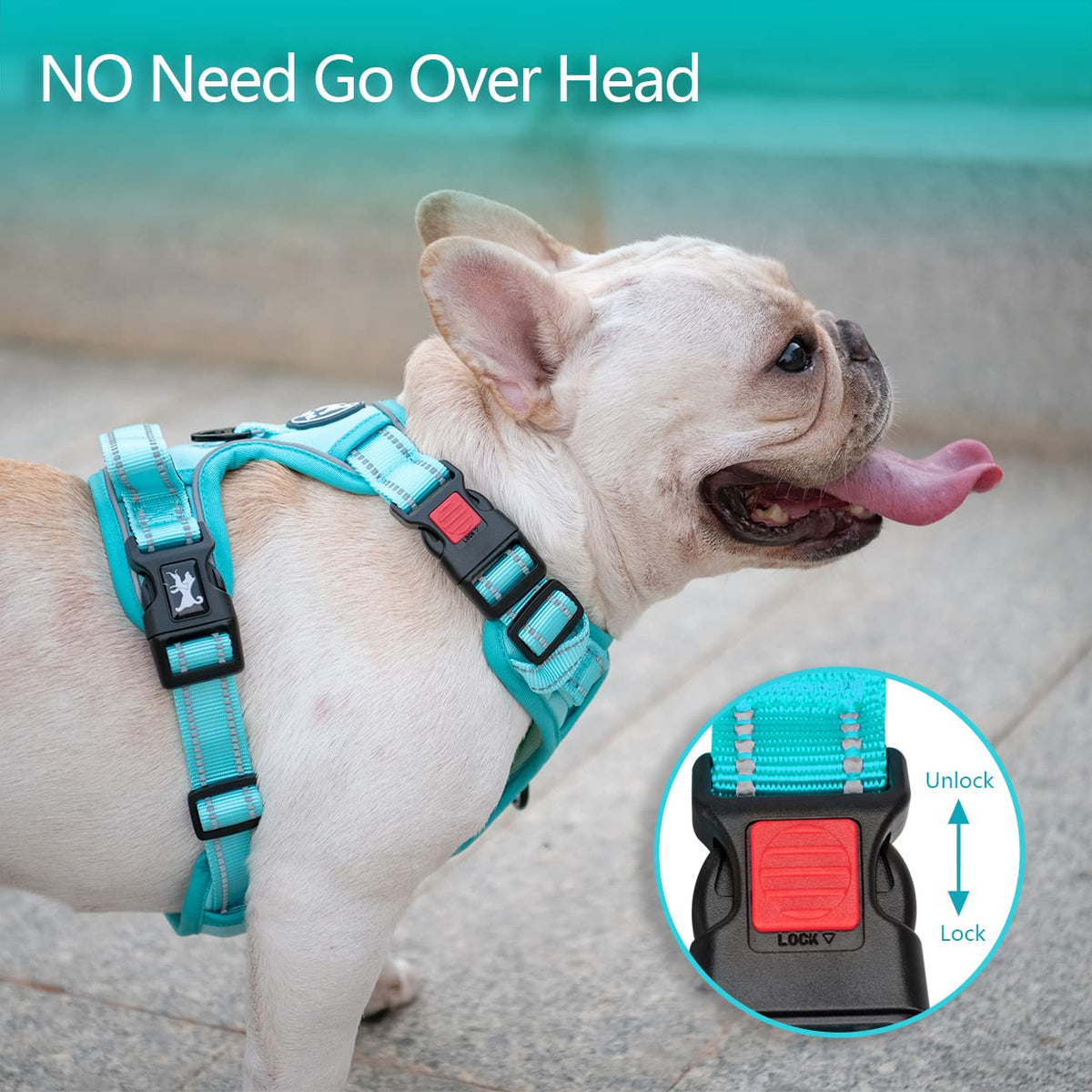 No Pull Dog Harness (Medium / Mint Blue(Matching Trim))