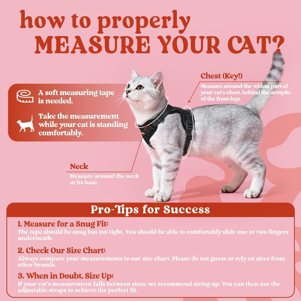 Cat Harness and Leash Set (Xs / Black)