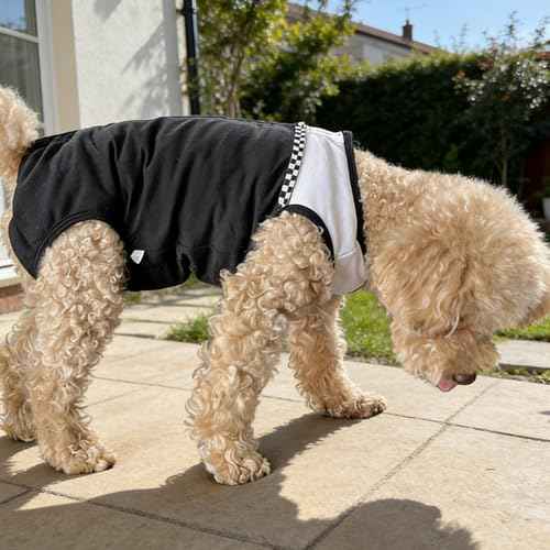 Dog Surgical Suit (Large / black and white)