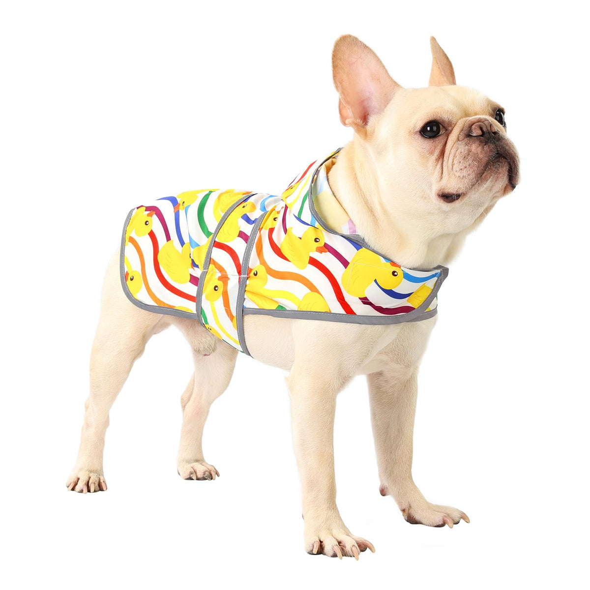 Dog Raincoat for Medium Dogs Waterproof Jacket Hooded Rain Coats with Reflective Strips Leash Hole & Poncho Adjustable Fit (Rainbow Ducks / Medium)