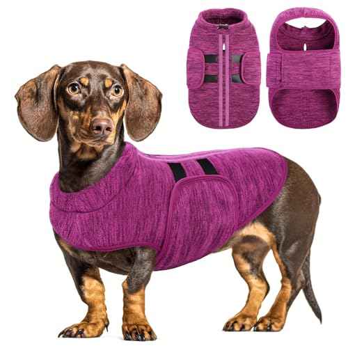 Dog Sweaters for Medium Dogs (Cationic Berry / Medium)