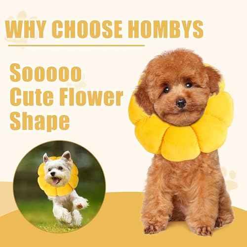 Soft Dog Cone for Dogs and Cats (M)