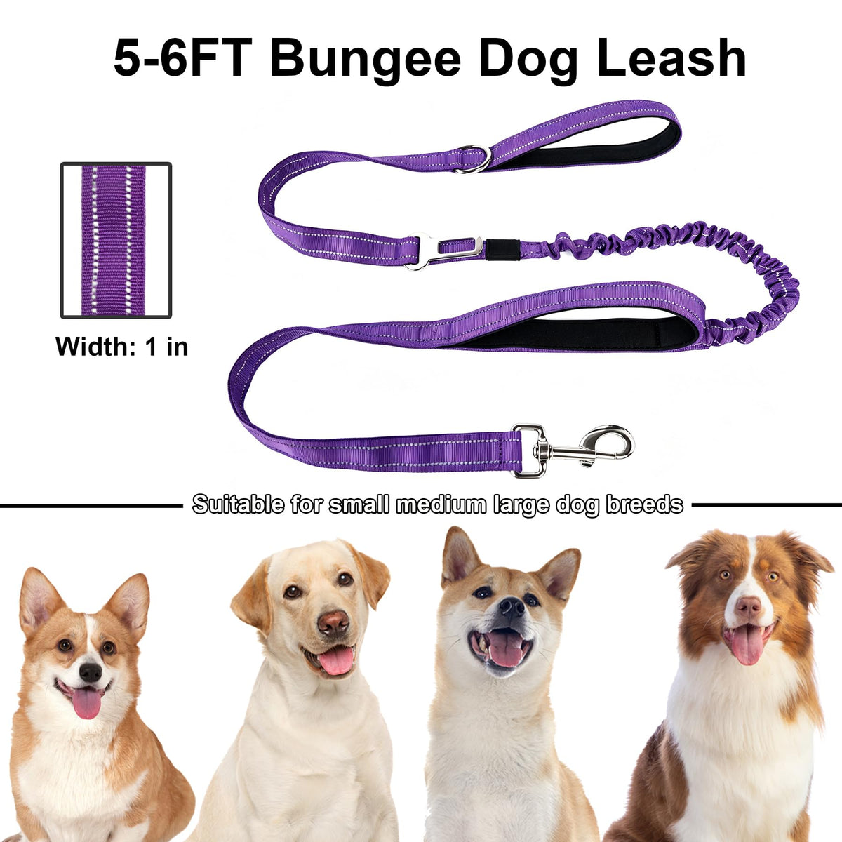Bungee Dog Leash 5FT (Purple / 5FT-6FT)