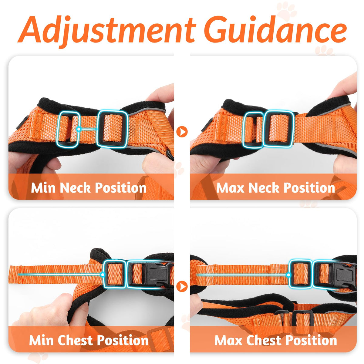 Cat Harness and Leash Set (Xs / Orange)