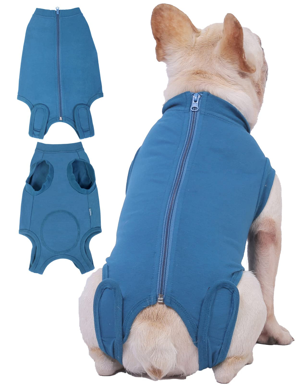 Dog Surgery Recovery Suit (XS(Back 8 - 10" Chest 12 - 14" Weight 4 - 8lb) / Blue)