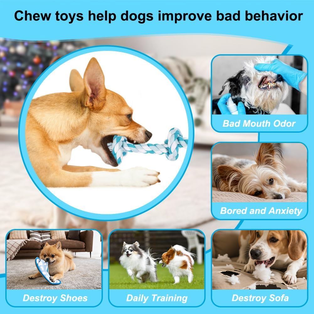 Dog Rope Toy Rope Toys for Dogs (Small / Blue)
