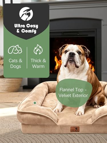 Orthopedic Dog Bed with Sides (35.0"L x 25.0"W x 6.5"Th / Brown)