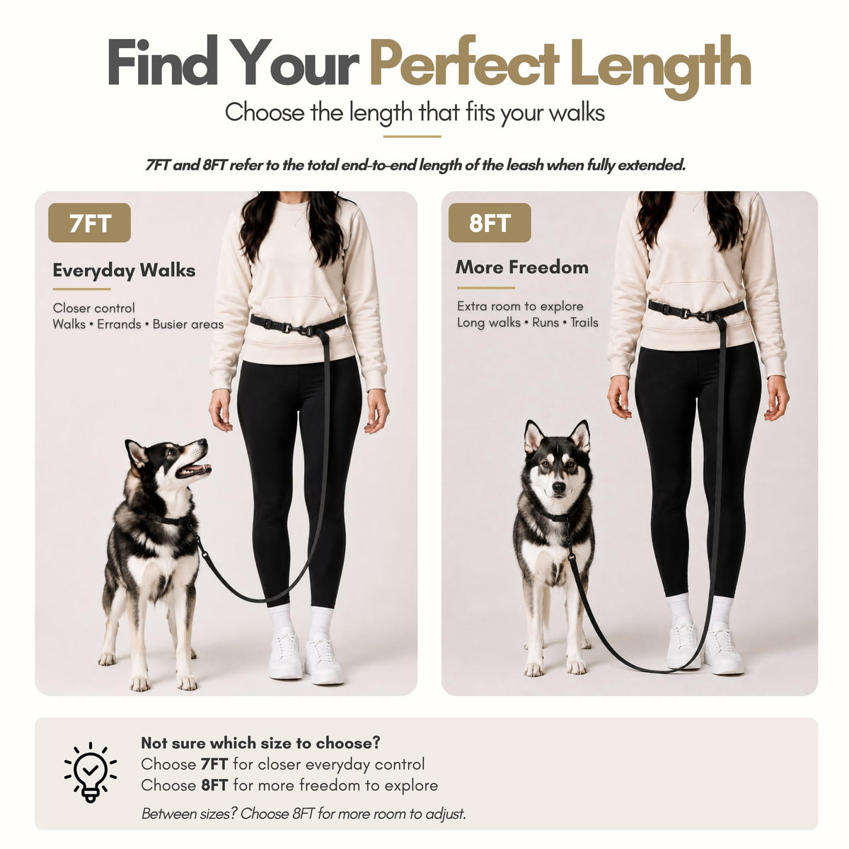 Hands Free Waterproof Dog Leash (Black / 8 FT)