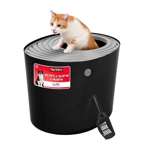 Top Entry Cat Litter Box (Top Entry / Black)