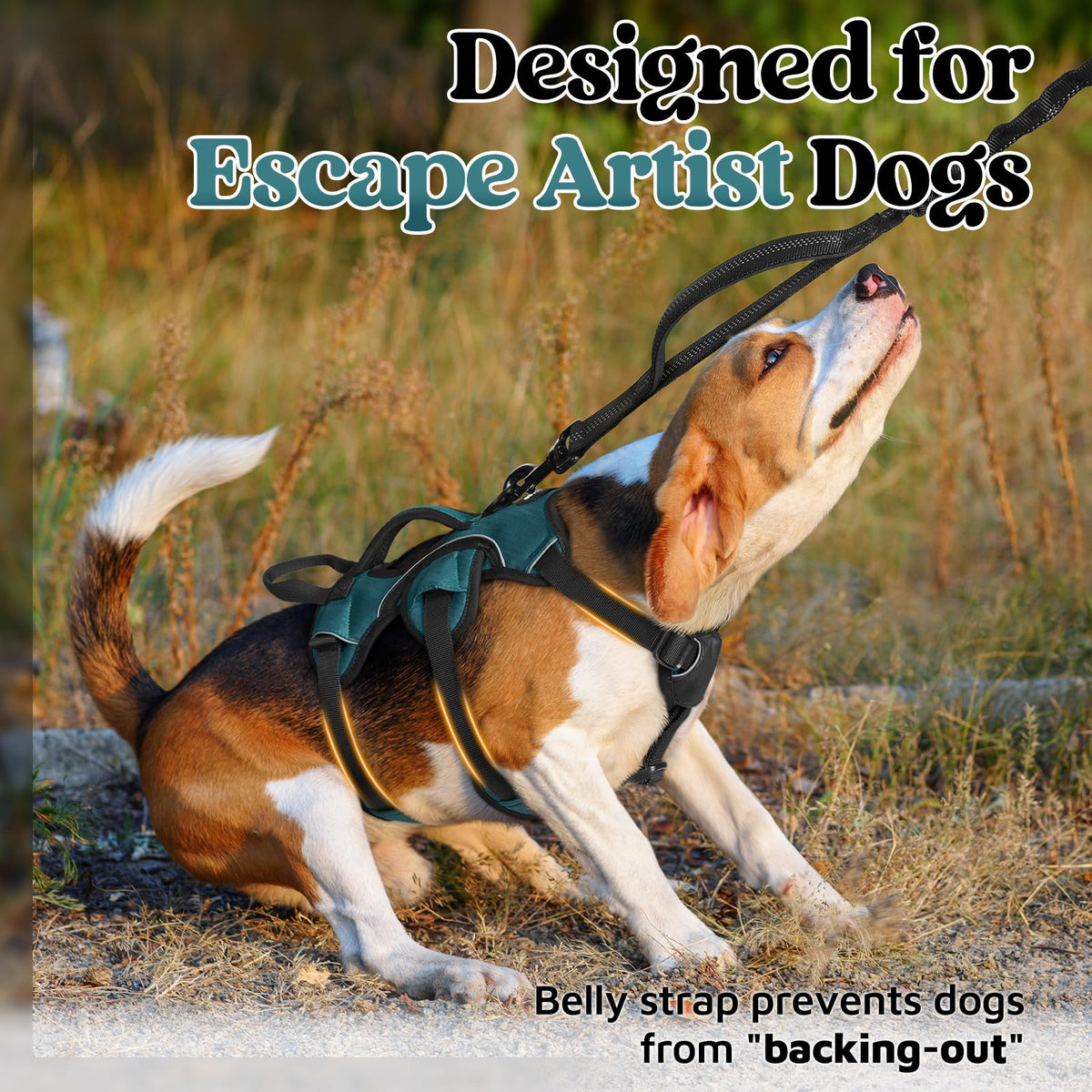 Escape Proof Dog Harness for Small (Dark Green / Small)