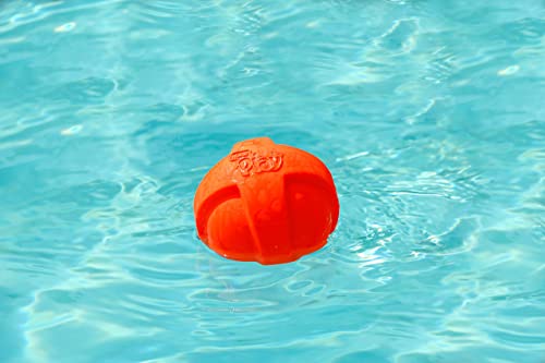 Dura Play Bacon Scented Squeak Ball Dog Toy for Small Breeds (Small Ball / 3 Count)