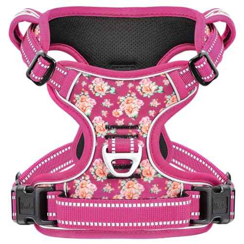 Dog Harness Reflective (M / Flower Rose)