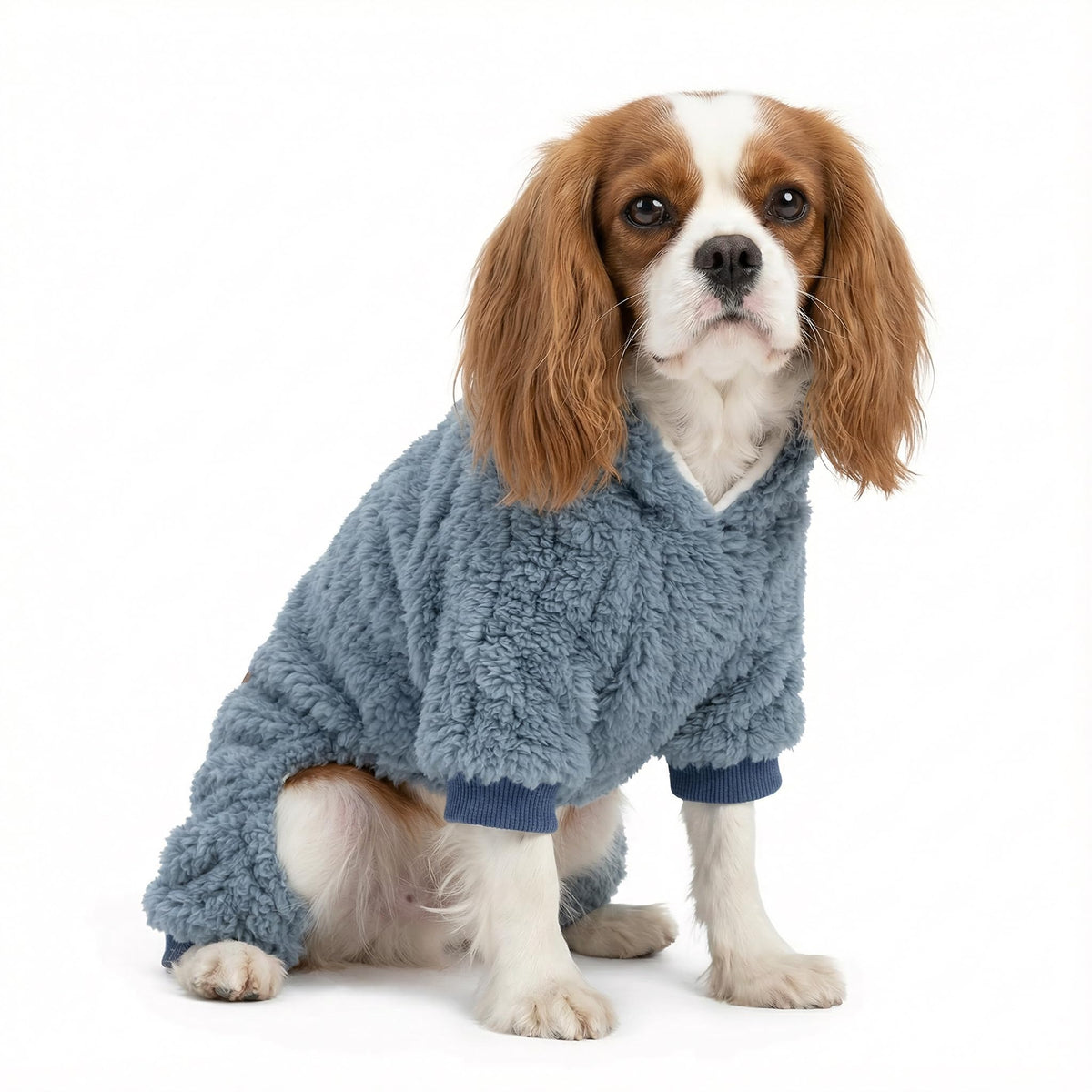 Collared Neck Dog Sweater Pajamas (XX-Large / Steel Blue)