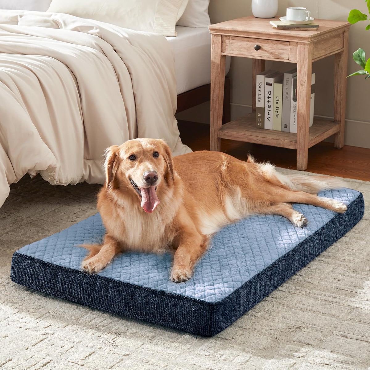 Orthopedic Medium Dog Bed (M(29"x18") / Blue)