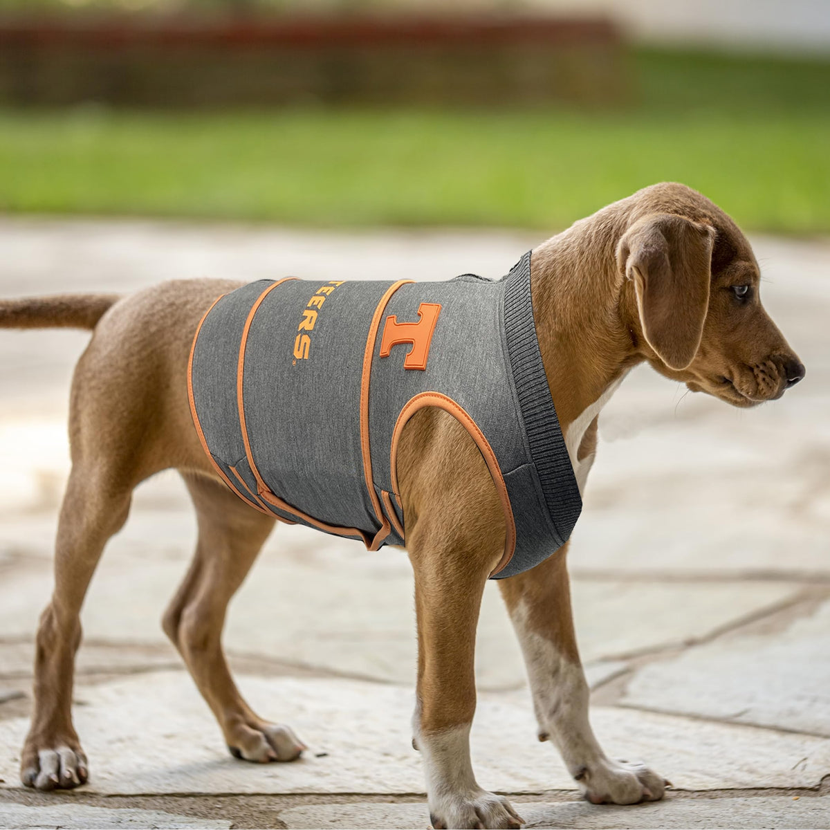 NCAA Tennessee Volunteers Dog Anxiety Shirt Calming Soothing Vest for Dogs Cats with Anxiety (Extra Small / Tennessee Volunteers)