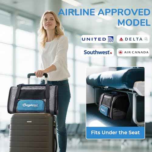 Cat Carrier Soft (Blue / 17.5"L x 11.0"W x 11.0"H)