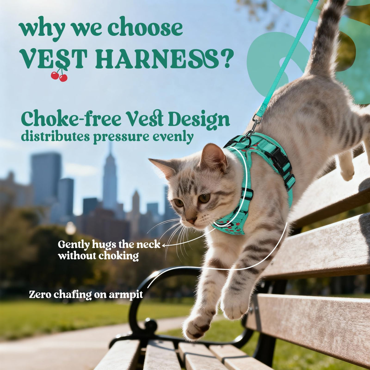 Cat Harness and Leash Set (Xs / Cherry Grove)