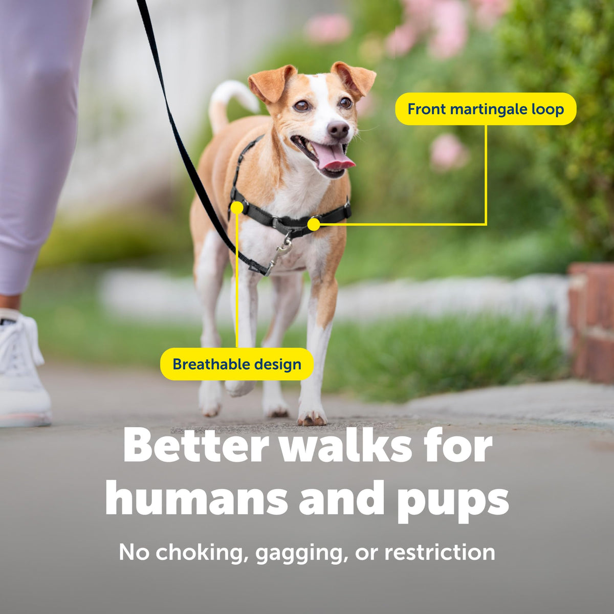 Easy Walk Harness (Petite / Black)