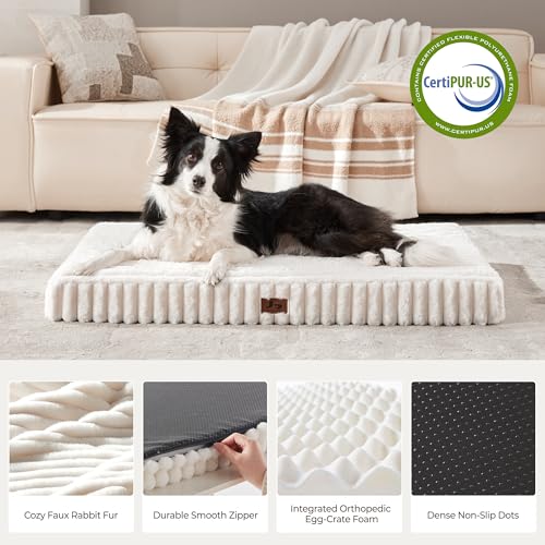 Dog Bed Medium Sized for Crate (Cream / M(30x20x3"))