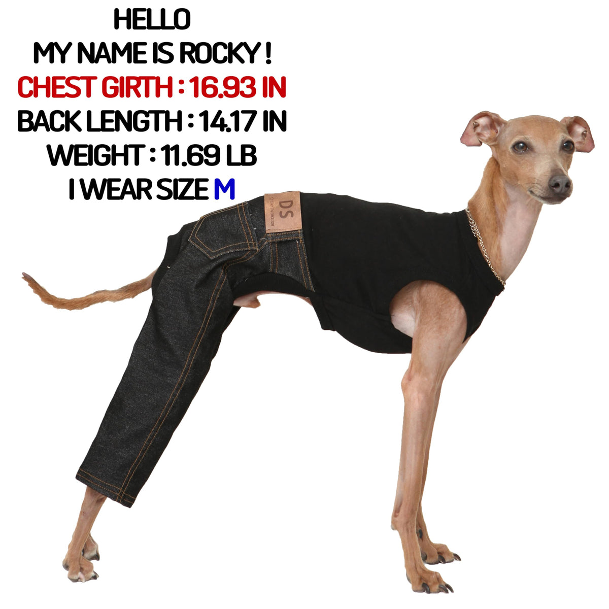 D Doggy Star Italian Greyhound Clothes Sleeveless Jeans Onesie Outfit Whippet for Dog Coat (2XL / Black Jean)