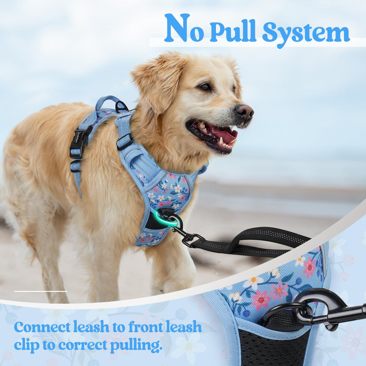 Dog Harness No Pull for Large Dogs with 2 Leash Clips (Large / Blue Floral)