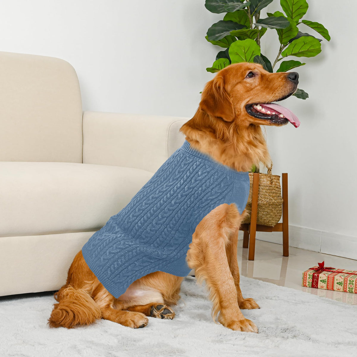 Dog Sweater 2 Pack for Large Dogs (Navy & Blue / XX-Large)